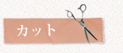 カット